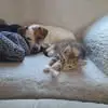Eira Moss - @eira.moss - TikTok