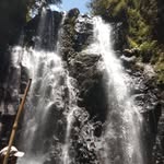 Nicholas Muriira - @muriiranicholas - Instagram