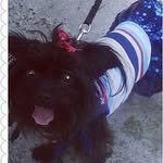 Resee Rich - @irarichardson.66 - Instagram