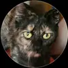 Ira Rush - @ira.rush0 - TikTok