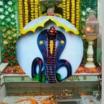Rushi Raval Raval - @rush.iraval79 - Instagram
