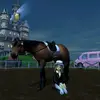 _star_stable_online_ - @ira_snowlight_sso - TikTok