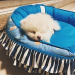 SnoW - @snow_sousa_oliveira - Instagram