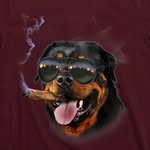 Ira Stern - @cigarro_perro - Instagram