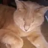irastern232 - @irastern232 - TikTok
