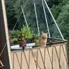Şira/Sirius/ Stern - @irasirius.stern - TikTok
