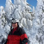 Ira Stollar - @stollarira - Instagram