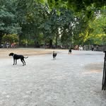 Rating Thompkins Park Pups - @iratethompkinsparkpups - Instagram