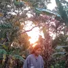 irawinga - @irawinga2006 - TikTok