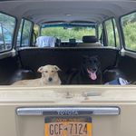 Ira Wolfson - @ira.wolfson - Instagram