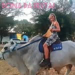 Iraci Rocha - @iraci.rocha.92317 - Instagram