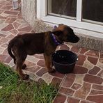 Irais Suarez - Facebook