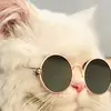 iram - @irammalik3865 - TikTok
