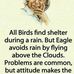 Iram Malik - Facebook