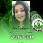 Iran Rodriguez - @iran.rodriguez23 - Instagram