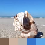Iran Rodriguez - @iranspalette - Instagram