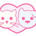 pet&food - @iran_scottish_ - Instagram