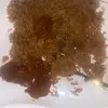 Irene Albert - @irene.albert7 - TikTok