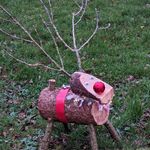 Irene Barker - @froglett2001 - Instagram