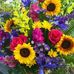 Irene Barth - Facebook