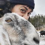 irene দিয়া - @irenebeandip - Instagram