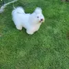 Irene Beckert - @irene.beckert - TikTok