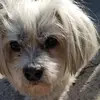 Irene Bolinger - @irene.bolinger - TikTok