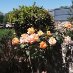 Irène Boyer - @byrerene - Instagram