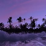Irene Brenner - @highbythe13thbeach - Instagram