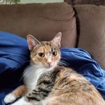 Irene Glassbrenner - @ireneglassbrenner - Instagram
