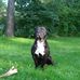 Irene Calvert - Facebook