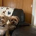 Irene Cameron - Facebook