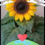 C Pa Ire Isa - @irene.cedillo.5 - Instagram