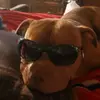 user6558464302491 - @texasgirl82 - TikTok