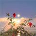 Irene Chen - Facebook