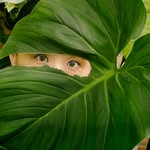 Irene Chen - @leafing.around - Instagram