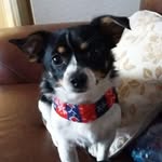 Irene Clayton - @irene.clayton1954 - Instagram