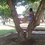 Irene Coronel - @irene.coronel.1671 - Instagram