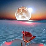 Irene Coronel - Facebook