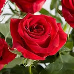 Irene Calvert - Facebook