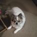 Irene Craft - Facebook