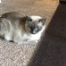 Irene Craft - Facebook
