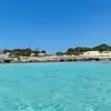 Irene Crivello - @user380864308 - TikTok