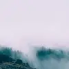 IreneDenton8150 - @irenedenton8150 - TikTok
