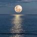 Irene Devine - Facebook