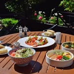 Irene Dickens - @iren.edickens47bji - Instagram