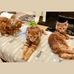 Irene Dickson - Facebook