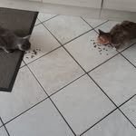 Irene Dreyer - @irene.dreyer2024 - Instagram