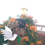 Irene Dube - @irenedube5 - Instagram