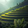 duffyirene341 - @duffyirene341 - TikTok